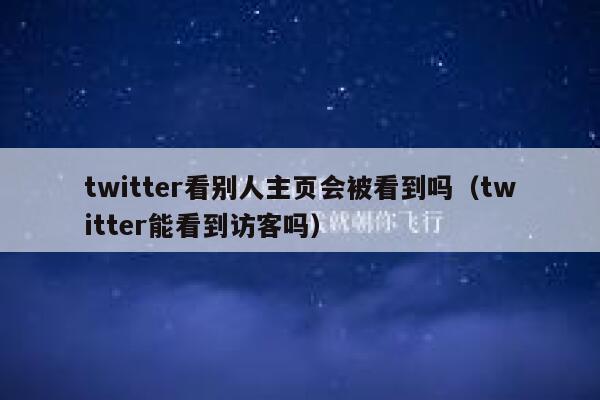 twitter看别人主页会被看到吗（twitter能看到访客吗） 第1张