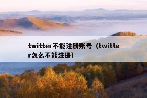 twitter不能注册账号（twitter怎么不能注册） 第1张