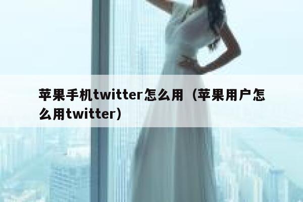 苹果手机twitter怎么用（苹果用户怎么用twitter） 第1张