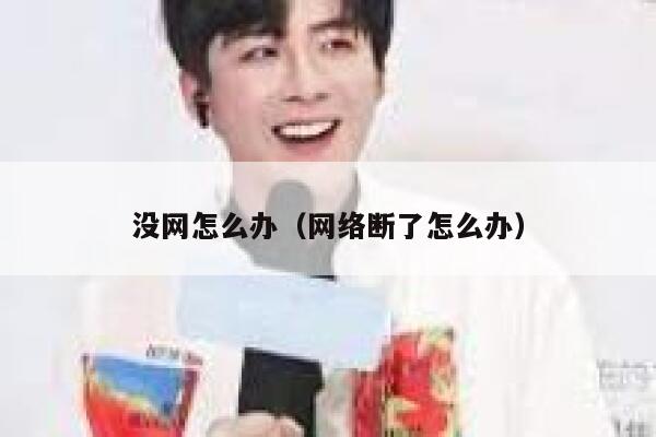 没网怎么办（网络断了怎么办） 第1张