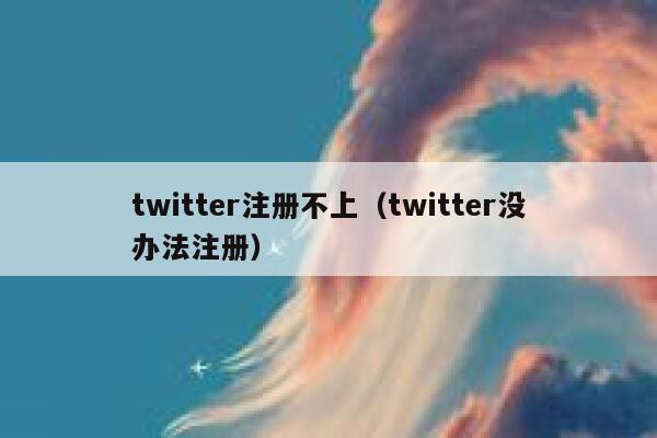twitter注册不上（twitter没办法注册） 第1张
