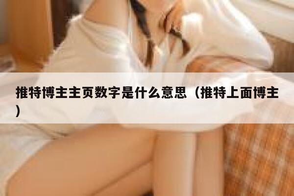 推特博主主页数字是什么意思（推特上面博主） 第1张