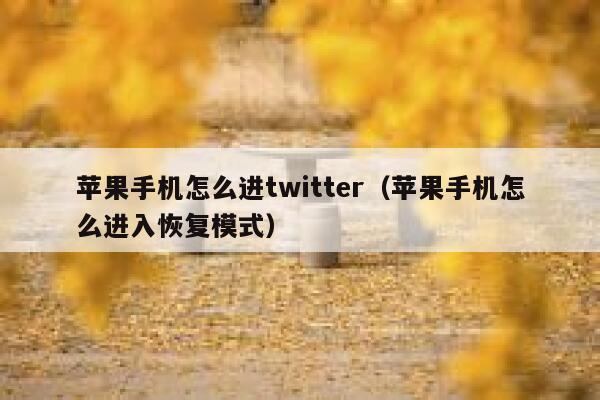苹果手机怎么进twitter（苹果手机怎么进入恢复模式） 第1张