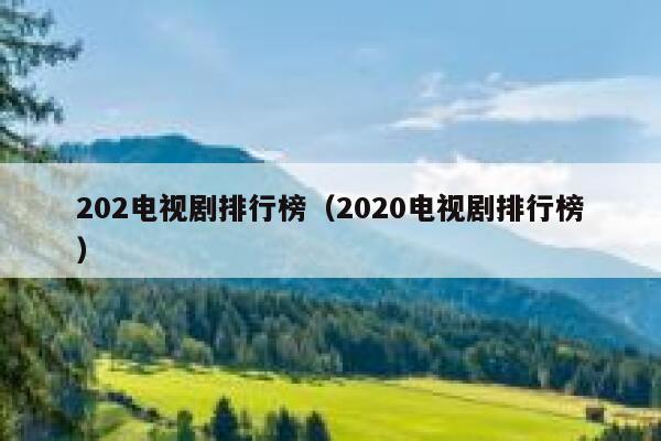 202电视剧排行榜（2020电视剧排行榜） 第1张