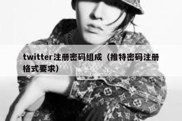 twitter注册密码组成（推特密码注册格式要求） 第1张