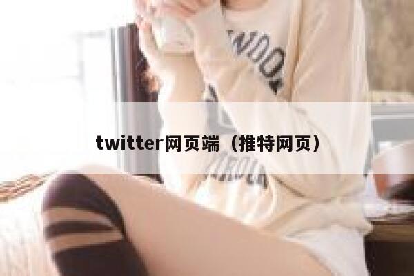 twitter网页端（推特网页） 第1张