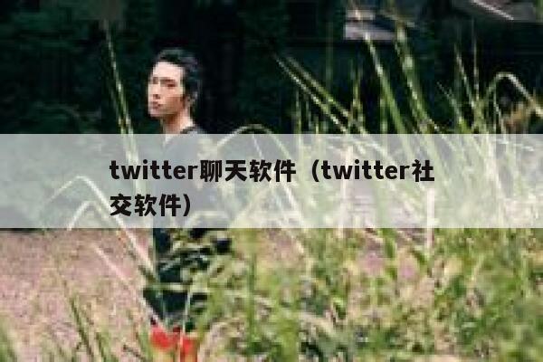 twitter聊天软件（twitter社交软件） 第1张