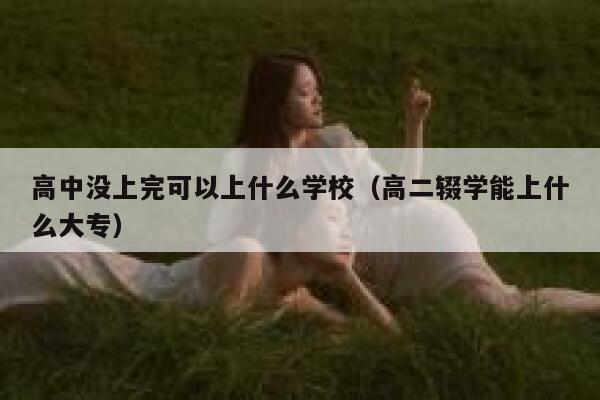 高中没上完可以上什么学校（高二辍学能上什么大专） 第1张
