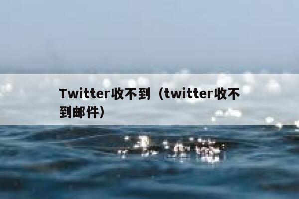 Twitter收不到（twitter收不到邮件） 第1张