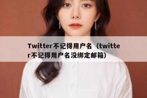 Twitter不记得用户名（twitter不记得用户名没绑定邮箱） 第1张
