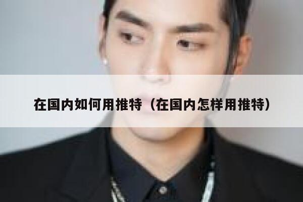 在国内如何用推特（在国内怎样用推特） 第1张