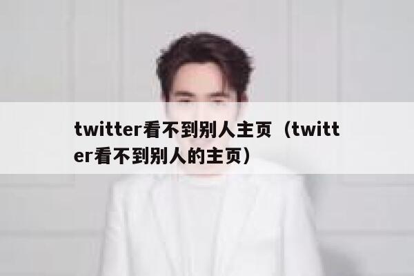 twitter看不到别人主页（twitter看不到别人的主页） 第1张