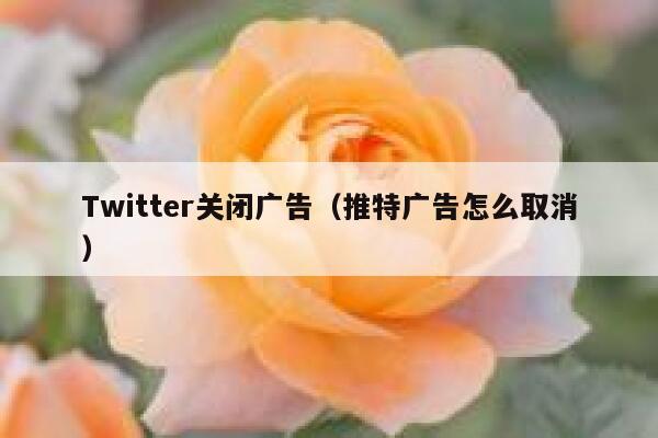 Twitter关闭广告（推特广告怎么取消） 第1张