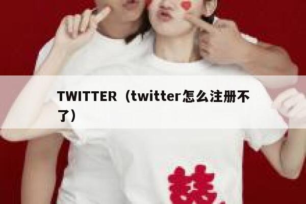 TWITTER（twitter怎么注册不了） 第1张