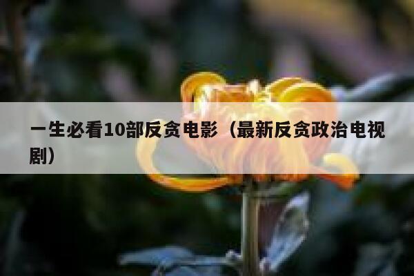一生必看10部反贪电影（最新反贪政治电视剧） 第1张