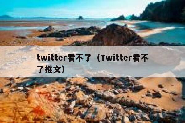 twitter看不了（Twitter看不了推文） 第1张
