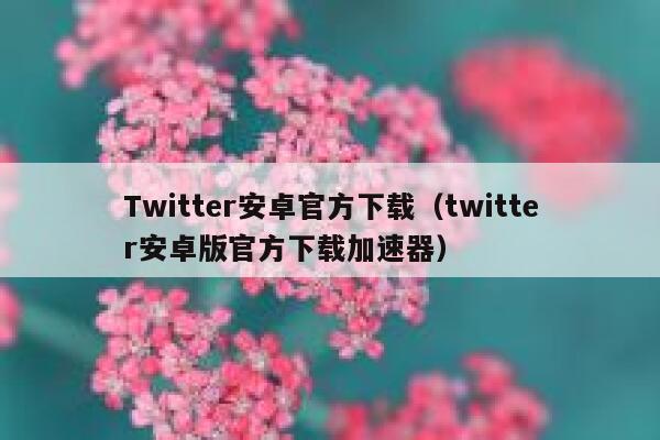 Twitter安卓官方下载（twitter安卓版官方下载加速器） 第1张
