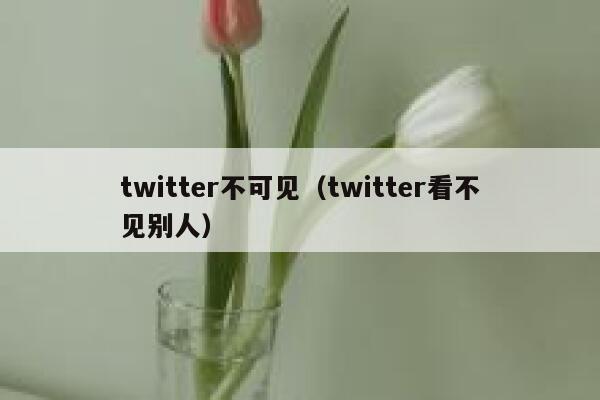 twitter不可见（twitter看不见别人） 第1张