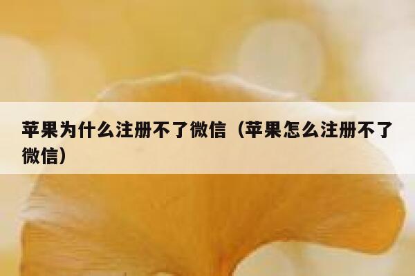 苹果为什么注册不了微信（苹果怎么注册不了微信） 第1张