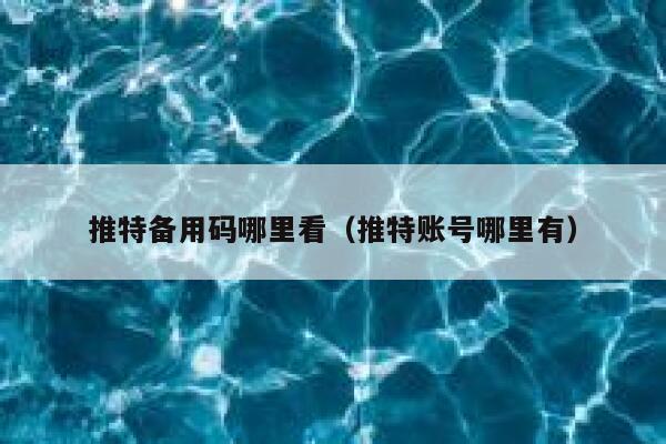 推特备用码哪里看（推特账号哪里有） 第1张