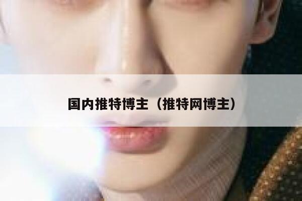 国内推特博主（推特网博主） 第1张