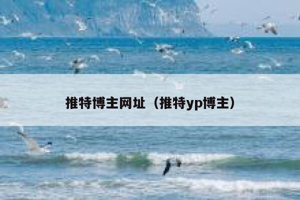 推特博主网址（推特yp博主） 第1张