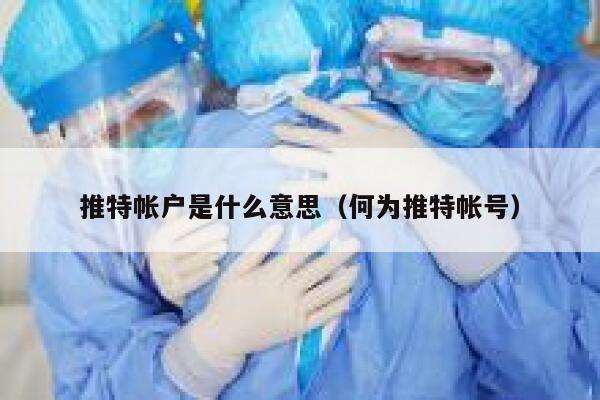 推特帐户是什么意思（何为推特帐号） 第1张