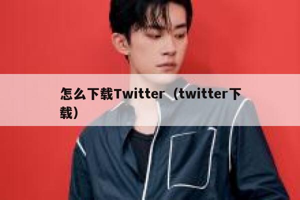 怎么下载Twitter（twitter下载） 第1张
