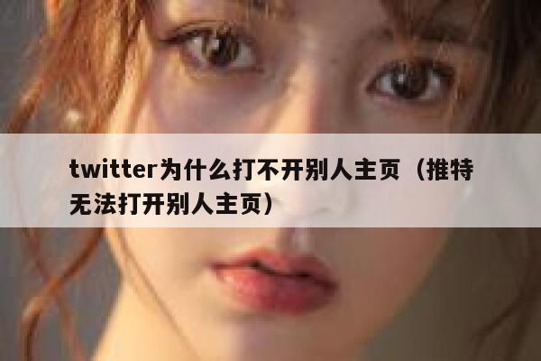 twitter为什么打不开别人主页(推特无法打开别人主页) 第1张 twitter为什么打不开别人主页(推特无法打开别人主页) 第1张