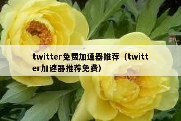 twitter免费加速器推荐（twitter加速器推荐免费） 第1张