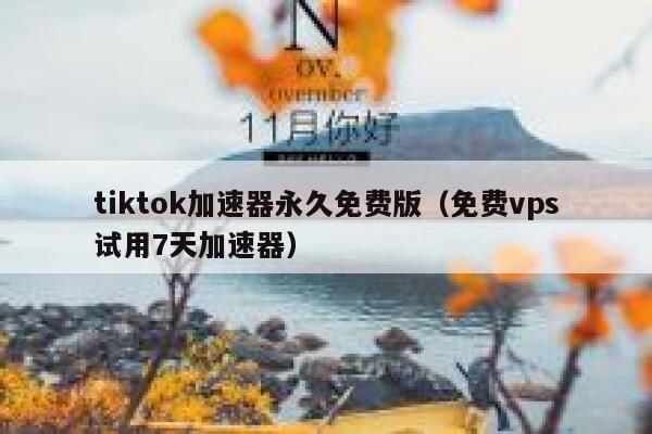 tiktok加速器永久免费版（免费vps试用7天加速器） 第1张