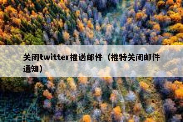 关闭twitter推送邮件（推特关闭邮件通知） 第1张