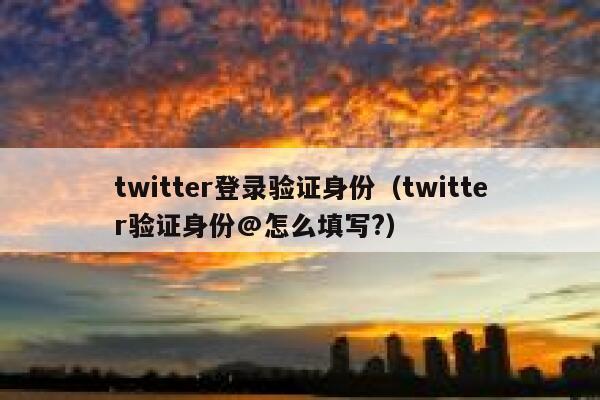 twitter登录验证身份（twitter验证身份@怎么填写?） 第1张
