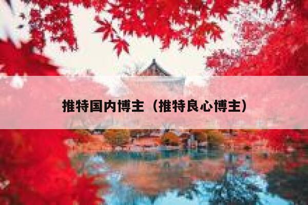 推特国内博主（推特良心博主） 第1张