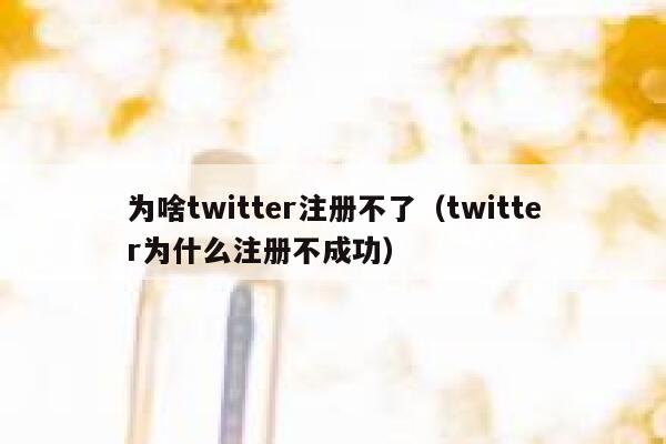 为啥twitter注册不了（twitter为什么注册不成功） 第1张