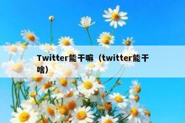 Twitter能干嘛（twitter能干啥） 第1张