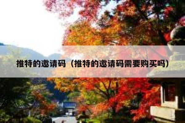 推特的邀请码（推特的邀请码需要购买吗） 第1张