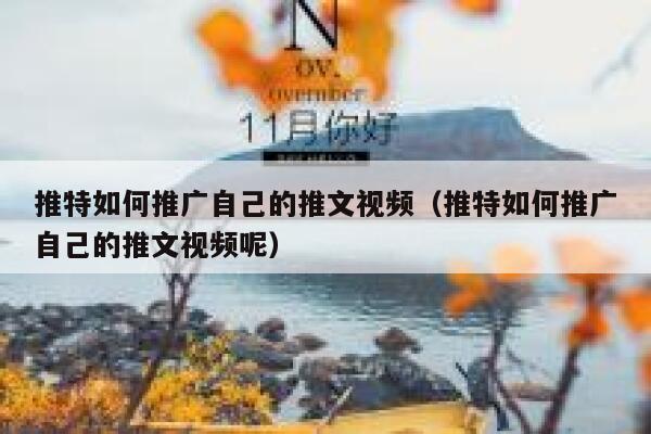 推特如何推广自己的推文视频（推特如何推广自己的推文视频呢） 第1张
