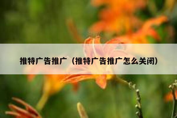 推特广告推广（推特广告推广怎么关闭） 第1张