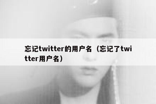 忘记twitter的用户名（忘记了twitter用户名） 第1张