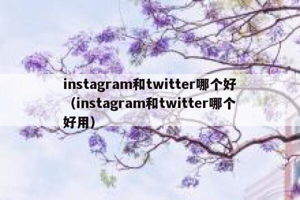 instagram和twitter哪个好（instagram和twitter哪个好用） 第1张