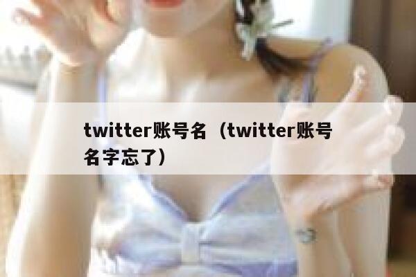twitter账号名（twitter账号名字忘了） 第1张