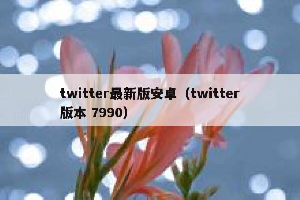 twitter最新版安卓（twitter版本 7990） 第1张