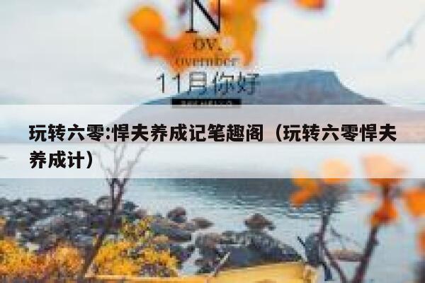 玩转六零:悍夫养成记笔趣阁（玩转六零悍夫养成计） 第1张