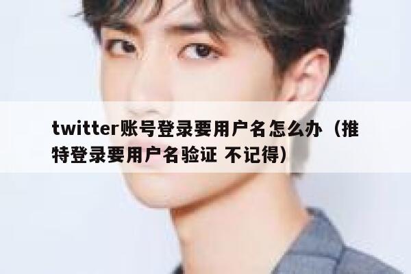 twitter账号登录要用户名怎么办（推特登录要用户名验证 不记得） 第1张