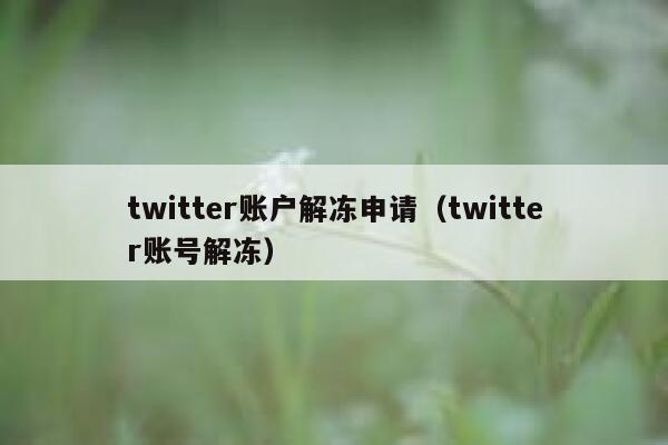 twitter账户解冻申请（twitter账号解冻） 第1张