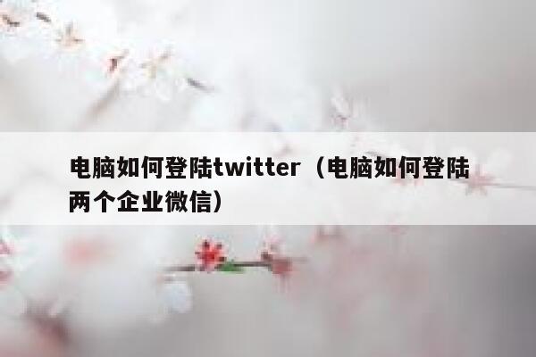 电脑如何登陆twitter（电脑如何登陆两个企业微信） 第1张