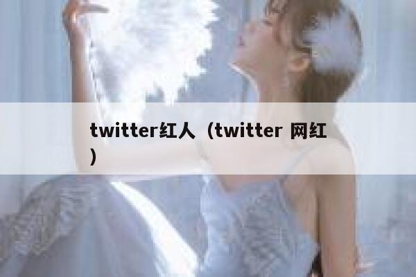 twitter红人（twitter 网红） 第1张