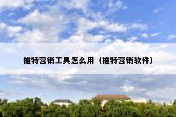 推特营销工具怎么用（推特营销软件） 第1张
