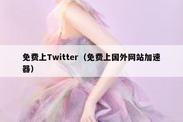 免费上Twitter（免费上国外网站加速器） 第1张